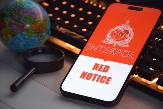 A smartphone screen displaying the Interpol logo.