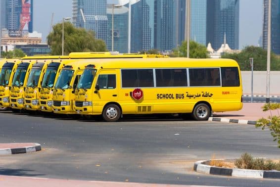 A row of yellow school buses in Dubai parked outside.