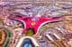 Abu Dhabi, the Ferrari World Park.