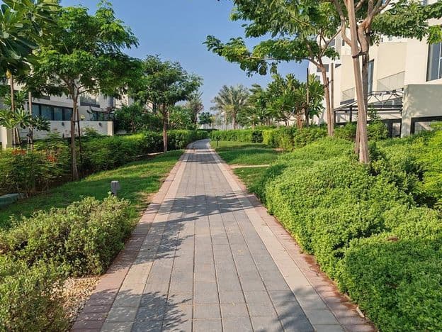 Dubai Green and lush landscaping with grass carpets and trees.