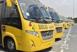 Multiple yellow school buses lined up in a parking lot in Dubai.
