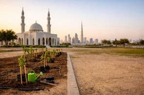Ramadan green renewal in Dubai