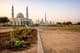 Ramadan green renewal in Dubai