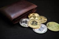 Cryptocurrency with leather wallet.