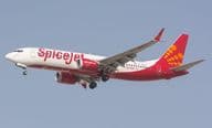 SpiceJet Airline Boeing 737 MAX aircraft.