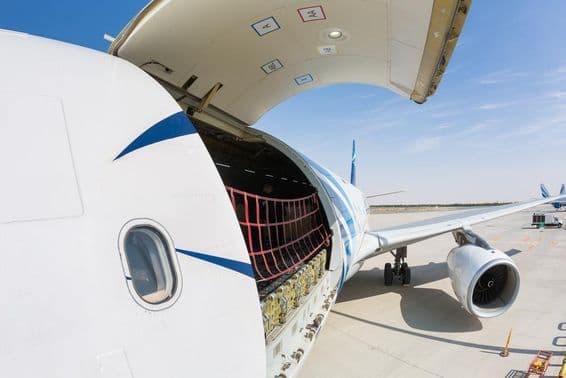 Cargo aircraft ready for freight loading in Dubai