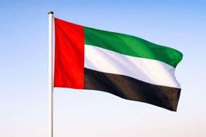 Waving national pride