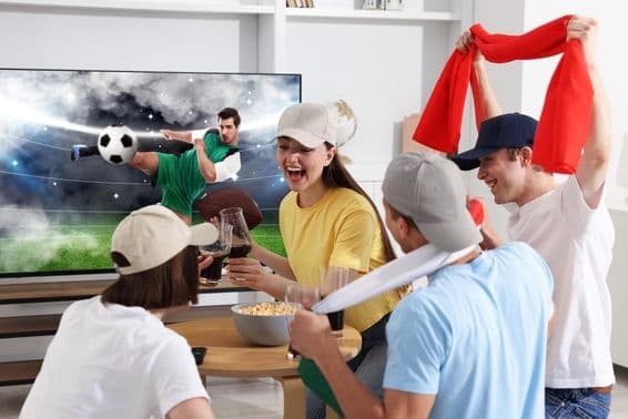 Football fans watching a football match