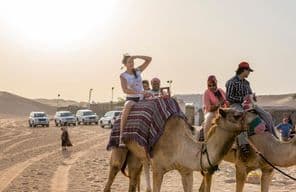Tourists riding camels in the desert.